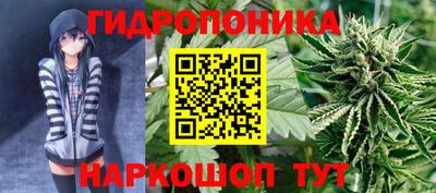 хмурый Малоярославец