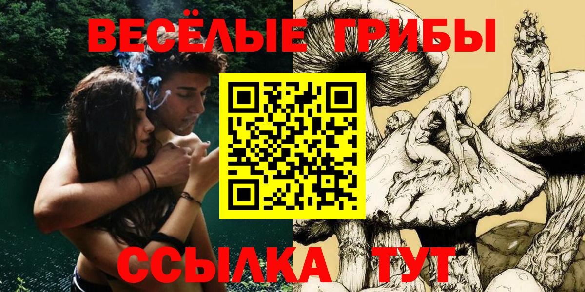 Псилоцибиновые грибы GOLDEN TEACHER  Вход с VPN  Электрогорск 